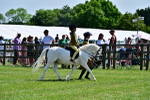 SBM_05784