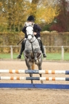 Unaffiliated Show Jumping portfolio