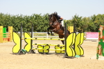 SBM_001528