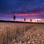 John Finney Storm & Landscape Photography