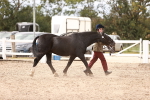 SBM_16294