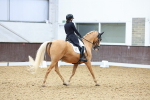 SBM_021292