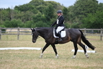 WJ6_8933