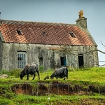 AD-30-Isle of Eriskay, Outer Hebrides