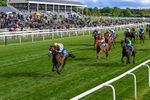 Race 7 5.15pm Frank Whittle Partnership Handicap portfolio