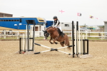 SBM_007266