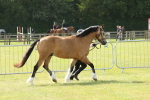 SBM_02085