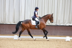 SBM_001231
