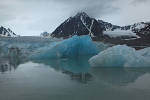 IMG_0392_2