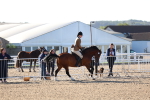 SBM_08833