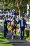 240824-Race 7-Sir Busker-2069