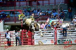 3HRodeo_CFD_JUL_22_2026_00394