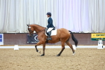 SBM_003565