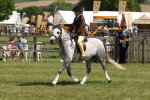 SBM_05354