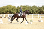 SBM_009466