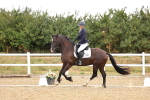 SBM_003295