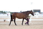 SBM_04979