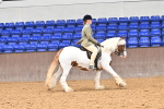 Class 18 - Ridden Cob portfolio