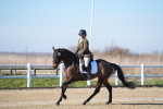 SBM_003405