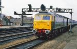 11th March 1988