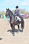 BPP_3646