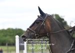 BPP_0649