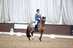 SBM_005249