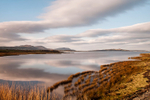 Trawbreaga bay