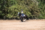 WJ6_7545