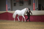 SBM_05482