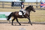 Saturday Huish (Ponies) Arena portfolio