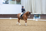 SBM_002664