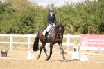 SBM_010497