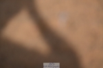 260426-092419-18076
