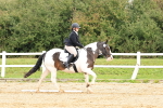 SBM_001365