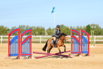 SBM_006644