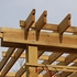 Construction Photo - March 2010