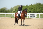 SBM_008970