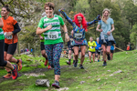 Dovedale Dash-1808