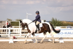 SBM_08018