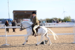 SBM_07817