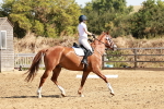 SBM_001333