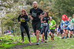 Dovedale Dash-1803