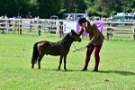 SBM_03604