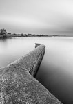 IMG_7336 v2 bw