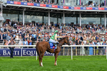 220826-Race 4-Daiquiri Bay-0647