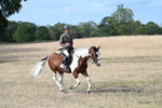 WJ7_7915