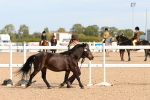 SBM_17998