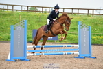 Axe Vale PC Showjumping, Saturday 18th = Click to View portfolio