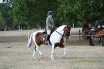 WJ7_6755